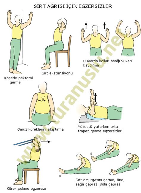 akut sırt ağrısı için egzersizler